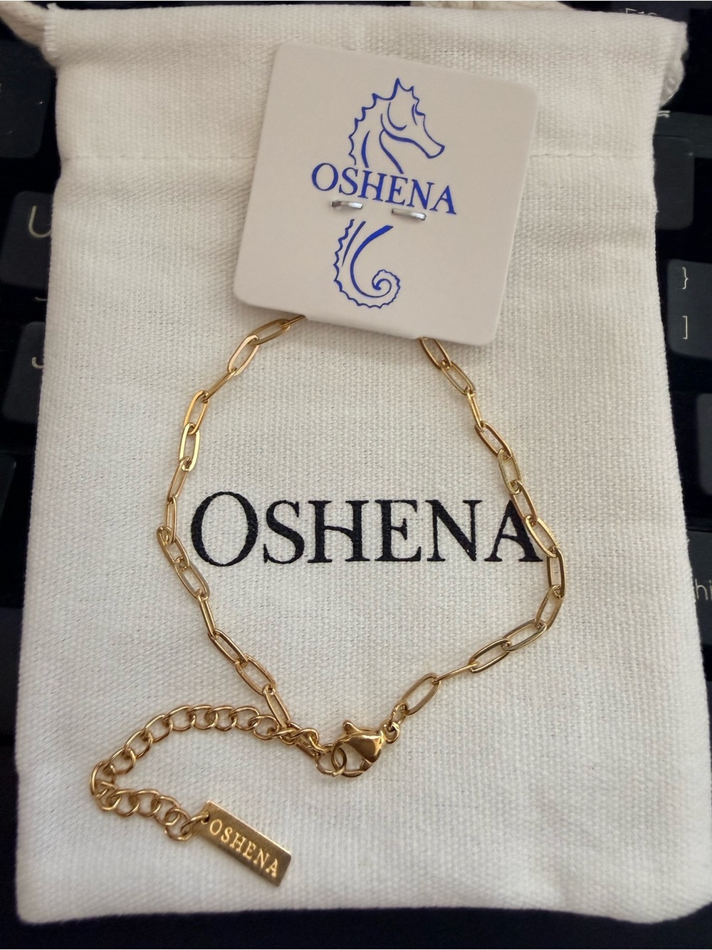 OSHENA weatherproof Non Tarnish Gold Paperclip Chain Bracelet